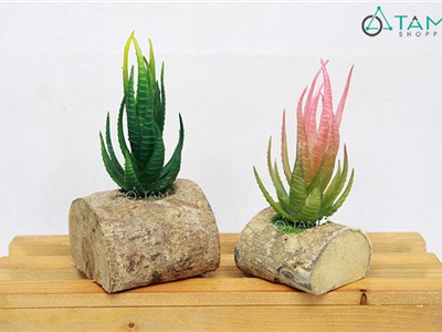 Chậu sen đá giả để bàn F-CHĐB-97